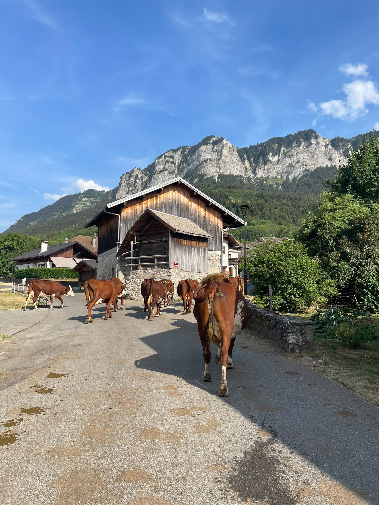 Télécabine de Thollon-les-Mémises avec vue sur le lac Léman