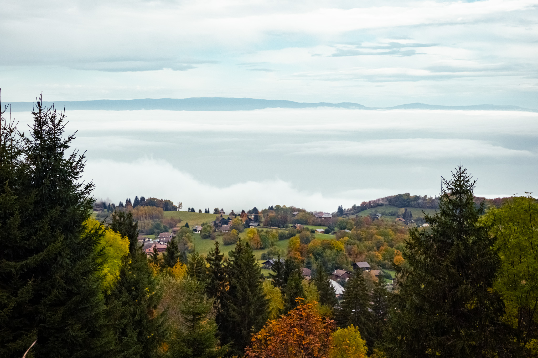 Vue panoramique sur le lac Léman